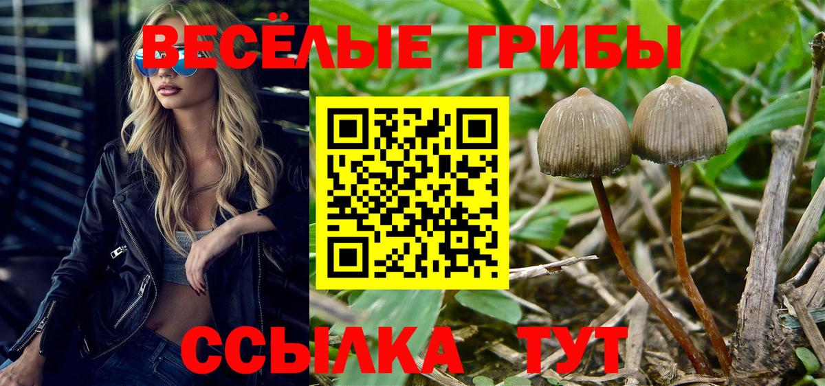 продажа наркотиков  Вход с VPN  Галлюциногенные грибы ЛСД  Когалым  Галлюциногенные грибы ЛСД 